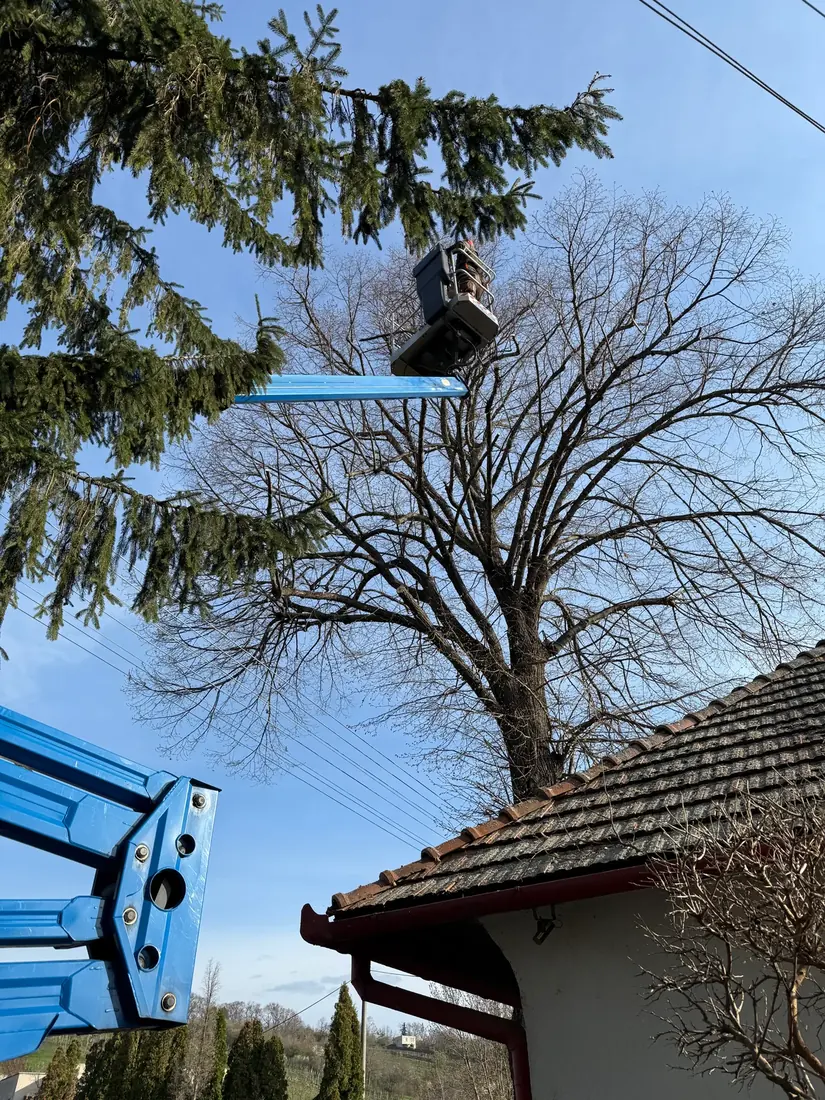 Práca z plošiny pri dome, Levice a okolie